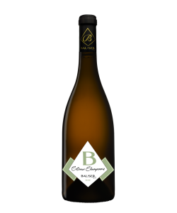 Coteaux Champenois Blanc 2019